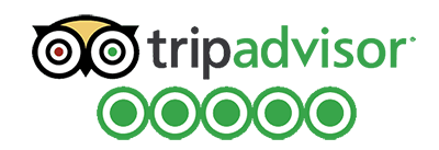 tripadvisor review